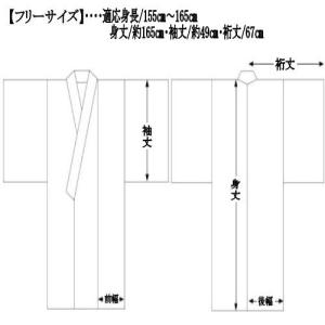 ゆかた 浴衣 ねこ柄 綿浴衣 紺 青 綿紅梅地...の詳細画像5