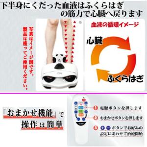 【正規販売店】 低周波電気マッサージ組み合わせ...の詳細画像5