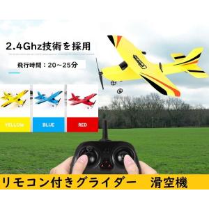 DEERC ラジコン 飛行機 水陸空三用 おもちゃ 100g未満 子供向け Z62