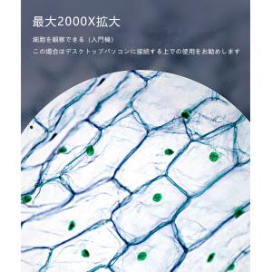 顕微鏡 デジタル顕微鏡 USB 2000倍 B...の詳細画像4