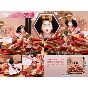 雛人形 ひな人形 収納飾り 10人飾り「時代絵...の詳細画像5