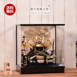 五月人形 コンパクト ケース飾り YK132 徳川家康公 8号 間口39cm 5月人形 陣羽織 写真立オルゴール付 【送料無料】