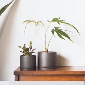 KINTO（キントー） プラントポット 191 135x115mm 植木鉢 4号用 磁器