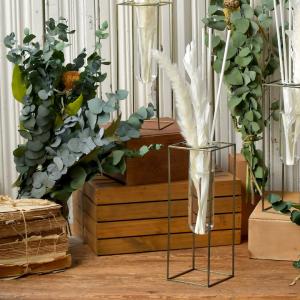 ボタニカル 芳香剤 部屋の商品一覧 通販 Yahoo ショッピング