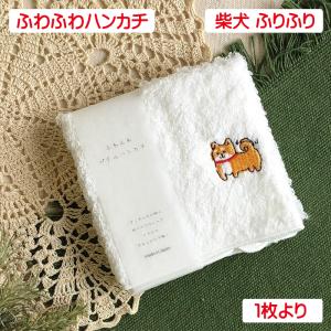 ふわふわハンカチ 柴犬 ねむねむ 単品販売 パイルハンカチ 犬柄