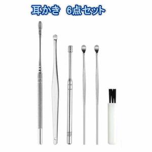 耳かき ステンレス 6点セット 耳マッサージ 耳垢 介護耳かき 子供 大人 耳掃除 耳そうじ ケース付き エチケット用 持ち歩き earpicks