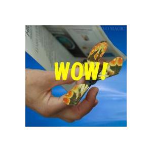 マジック 手品 フライング バタフライ 簡単手品 マジシャン 余興 忘年会 新年会 パーティー 宴会 Acs 698 教材自立共和国ヤフーショップ 通販 Yahoo ショッピング