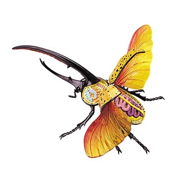 4D VISION 動物解剖 No.10 （ヘラクレスオオカブトムシ解剖モデル）