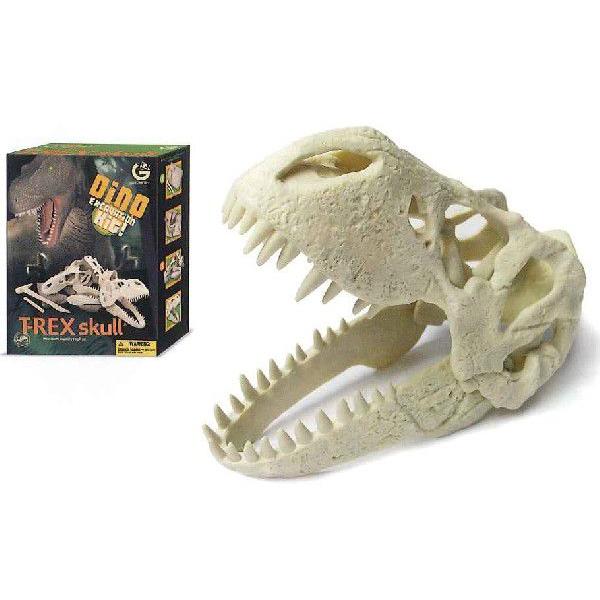 T-REX頭蓋骨発掘セット