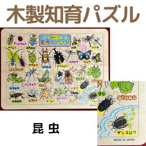 木製知育パズル いきものシリーズ どうぶつ 魚...の詳細画像4