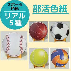 シノコマ スポーツ色紙（封筒・紙製スタンド付き）リアル 部活色紙　野球 サッカー バスケット テニス バレーボール  卒業式 思い出 寄せ書き｜kyouzai-j