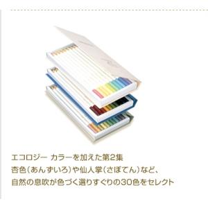 色鉛筆 色辞典 第二集 単色 枯竹色(かれたけいろ)の詳細画像3