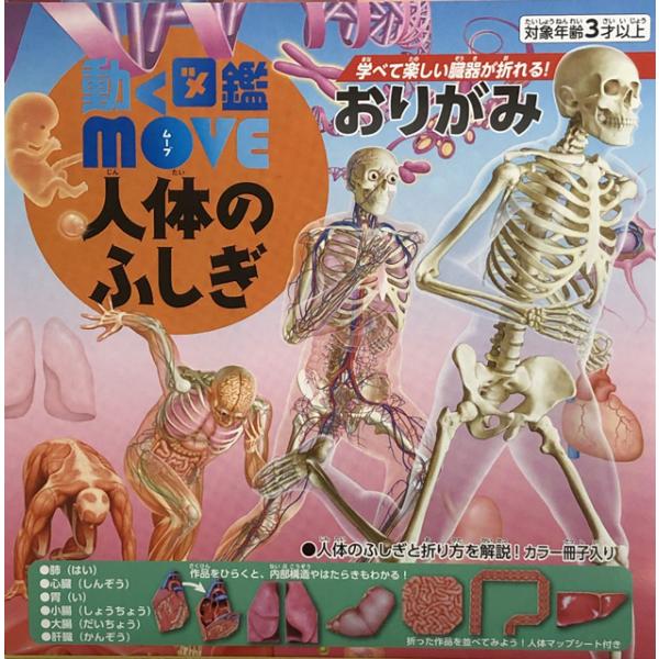 トーヨー　動く図鑑おりがみmoveムーヴ　人体のふしぎ　※この折り紙は動きません