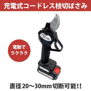 シンセイ 充電式 枝切ばさみ TIP-300 予備バッテリー付 : アグリズ