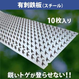 有刺鉄板（スチール）10枚入り　幅12.5cm 長さ80cm　サル　ハクビシン　イタチ　テン　アライグマ　防除　果樹　支柱　登り防止　トゲトゲ　刺さる