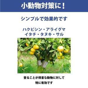 有刺鉄板(スチール)10枚入り 幅12.5cm...の詳細画像4
