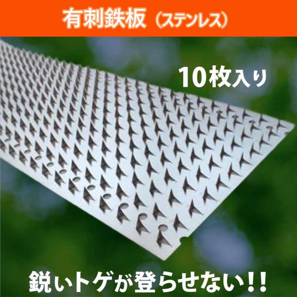 有刺鉄板（ステンレス）10枚入り　幅12.5cm 長さ80cm　サル　ハクビシン　イタチ　テン　アラ...