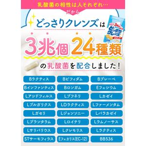 乳酸菌 ビフィズス菌 プロバイオティクス サプ...の詳細画像2