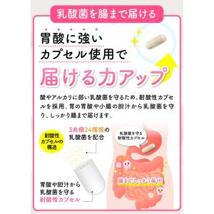 乳酸菌 ビフィズス菌 プロバイオティクス サプ...の詳細画像3
