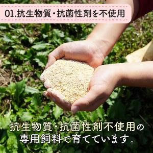 はぐくみ太郎 特別飼育鶏 の 鶏レバー パウダ...の詳細画像3