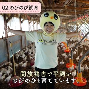 はぐくみ太郎 特別飼育鶏 の 鶏レバー パウダ...の詳細画像4