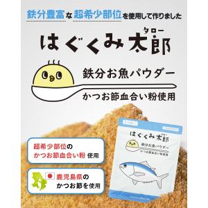 はぐくみ太郎 鉄分お魚パウダー 離乳食 ベビー...の詳細画像1