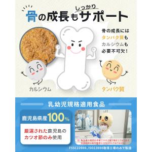 はぐくみ太郎 鉄分お魚パウダー 離乳食 ベビー...の詳細画像4