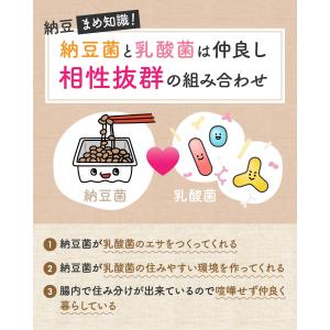 はぐくみ太郎 納豆パウダー無添加 納豆 粉末 ...の詳細画像5