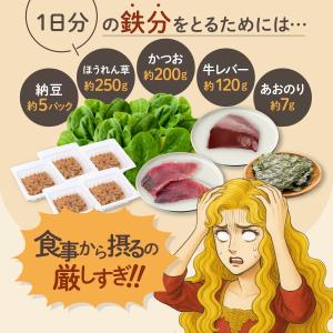 はぐくみ太郎 鉄分きなこ 離乳食 ベビーフード...の詳細画像1