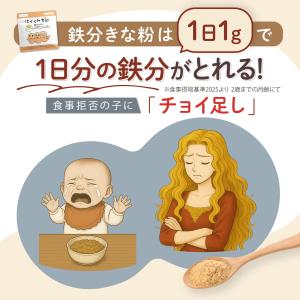 はぐくみ太郎 鉄分きなこ 離乳食 ベビーフード...の詳細画像2