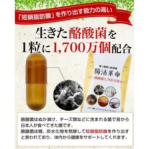 腸活革命 腸活 腸内 コンブチャ 乳酸菌 フロ...の詳細画像1