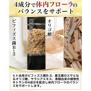 腸活革命 腸活 腸内 コンブチャ 乳酸菌 フロ...の詳細画像2