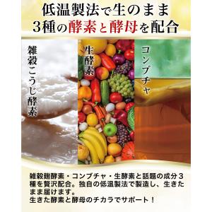 腸活革命 腸活 腸内 コンブチャ 乳酸菌 フロ...の詳細画像3