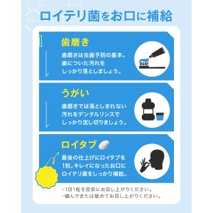 ロイテリ菌 タブレット ロイタブ 30日分の詳細画像2