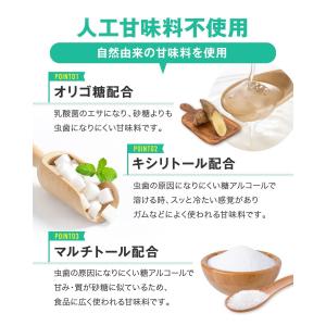 ロイテリ菌 タブレット ロイタブ 30日分の詳細画像3