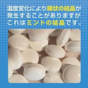 ロイテリ菌 タブレット ロイタブ 30日分の詳細画像5