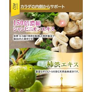 NIOCARE ニオケア タブレット シャンピ...の詳細画像3
