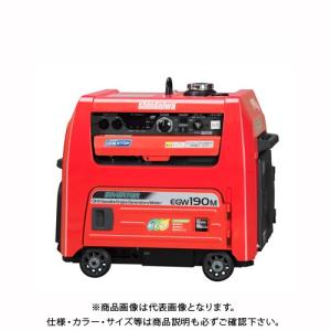 送料別途)(直送品)プロモート PROMOTE インバーター発電機（カセット