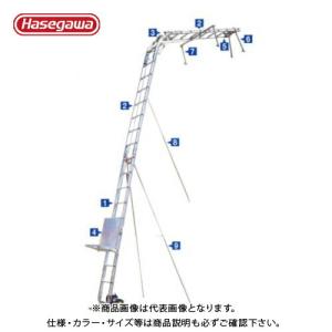 (送料別途)(直送品)ハセガワ 長谷川工業 アルミ製瓦揚機 マイティパワー AL4-MD2N 35784｜kys