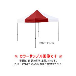 送料別途 直送品 かんたんてんと (3.0m×...の詳細画像1