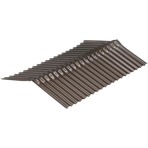 (送料別途)(直送品)IRIS 543787 波板(ポリカーボネート製棟板)NIPC ブロンズ 10...