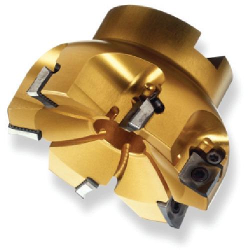 SANDVIK コロミル590カッター(450) R590-080Q27A-11M