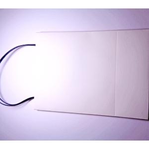 WR001WH-BAG ピアス イヤリング ノ...の詳細画像1
