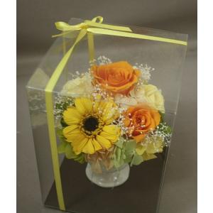 『おひさま色のガーベラアレンジ』フレームアレンジ　プリザーブドフラワー　ケース付 プリザーブドフラワー＊ケース入りfフレームアレンジ＊グリーン系