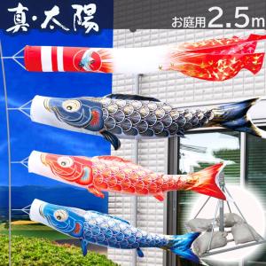 徳永鯉 【ポイント10倍】5m大型鯉のぼり用 スーパーDXポール 10号