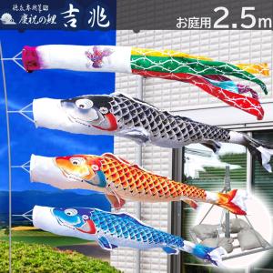 徳永鯉 【ポイント10倍】5m大型鯉のぼり用 スーパーDXポール 10号