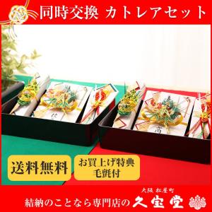 【全品ポイント2倍!5/16 1:59迄】【顔合...の商品画像