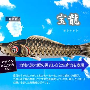 【全品ポイント3倍キャンペーン中】鯉のぼり 庭...の詳細画像2