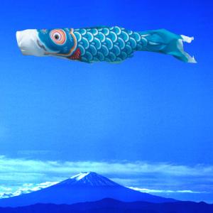 鯉のぼり こいのぼり 日本製 単品 銀河鯉 1m 口金付 単品購入の場合は