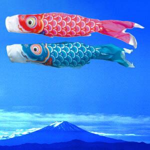 全品ポイント3倍キャンペーン中】鯉のぼり こいのぼり 日本製 単品 峰
